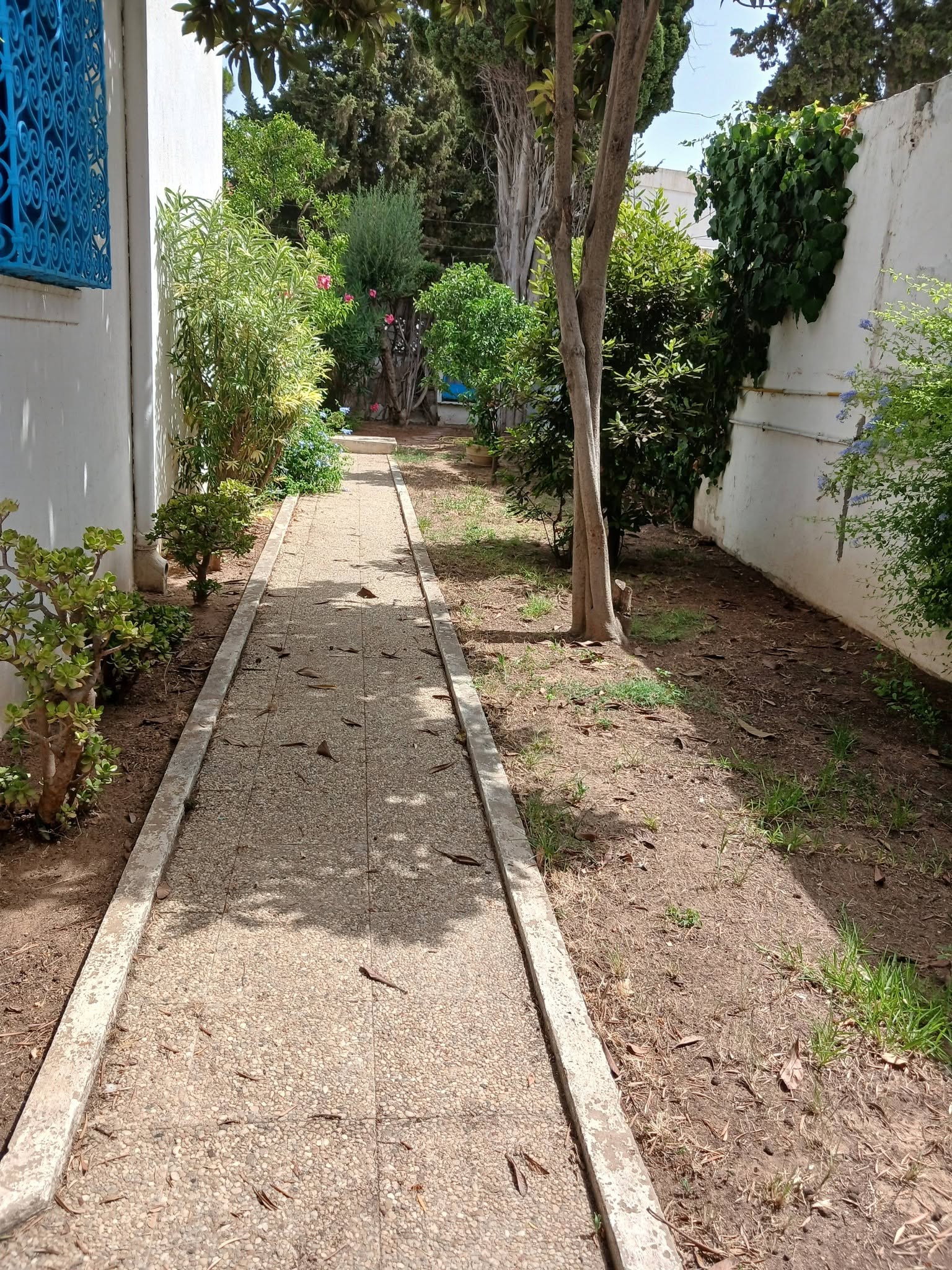 Maison à marsa cube meublée