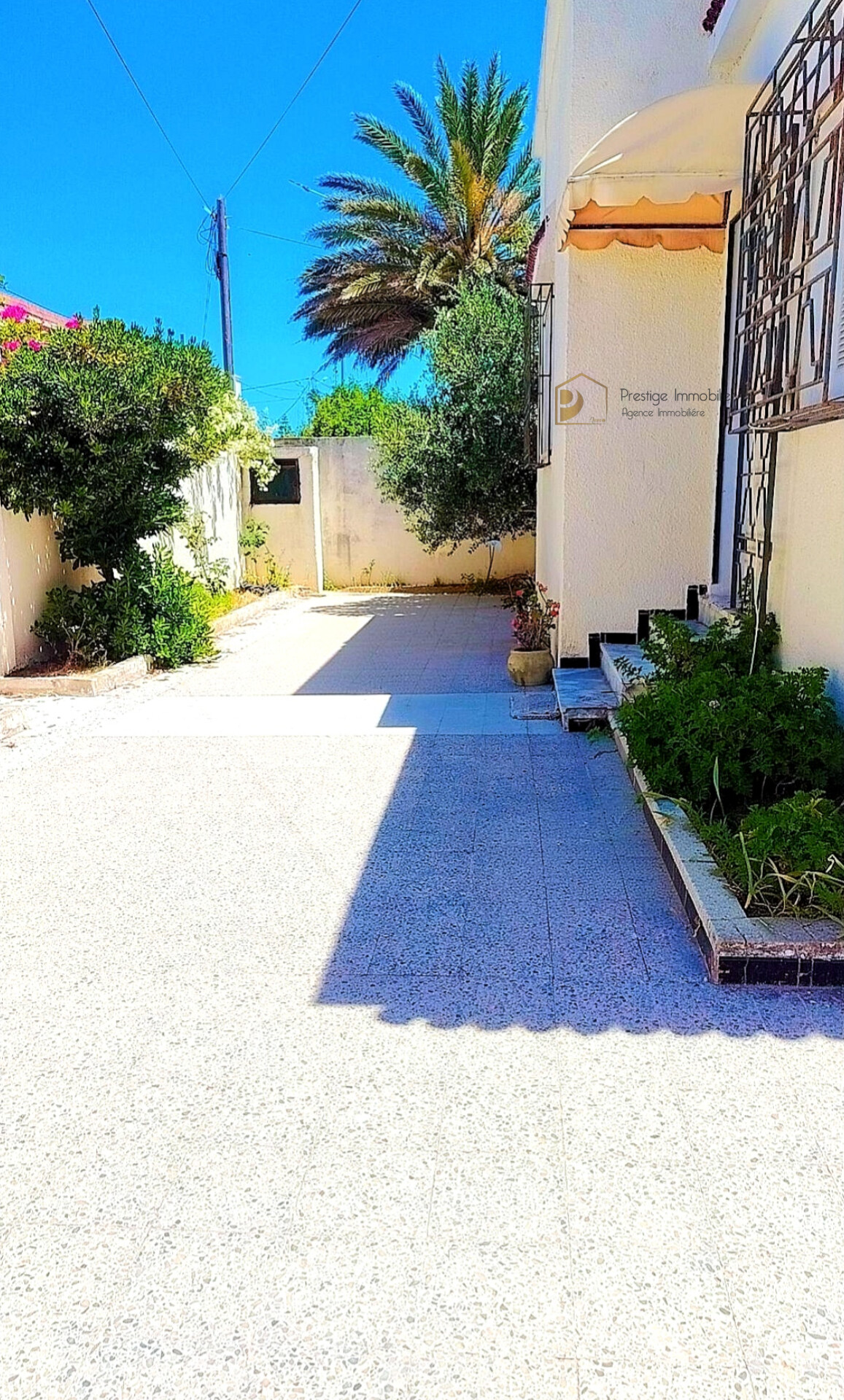 Villa s3 plus studio