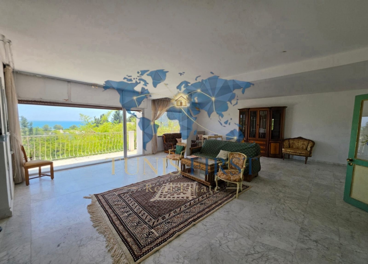 Villa style arabesque à carthage
