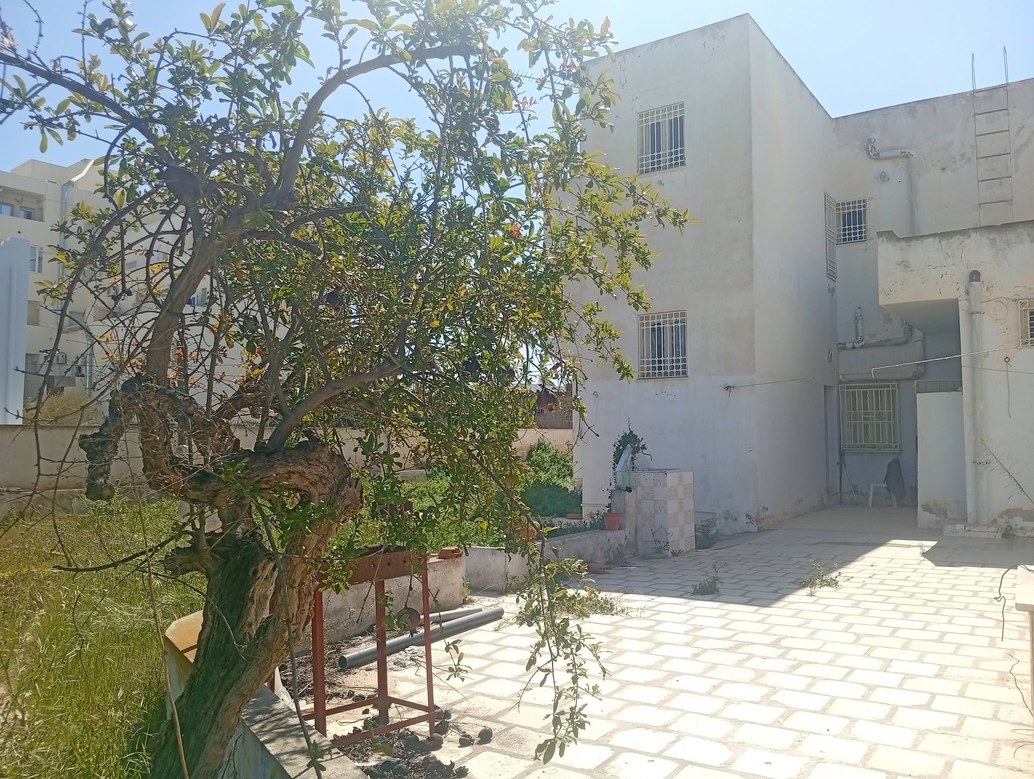 Terrain sfax