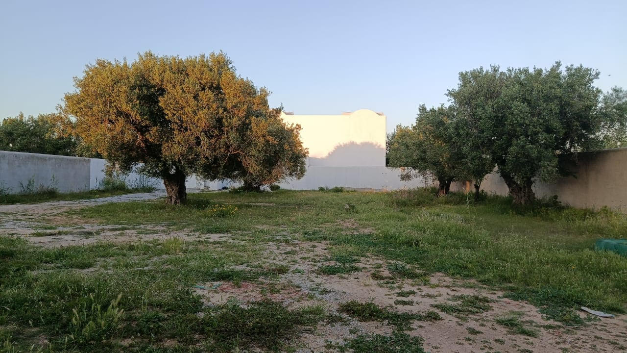 Terrain a hammamet quartier echraf 710 m2