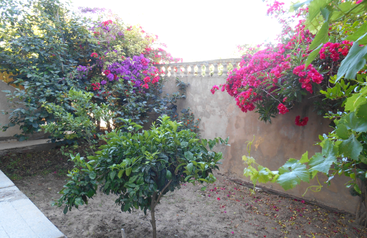 Maison avec jardin