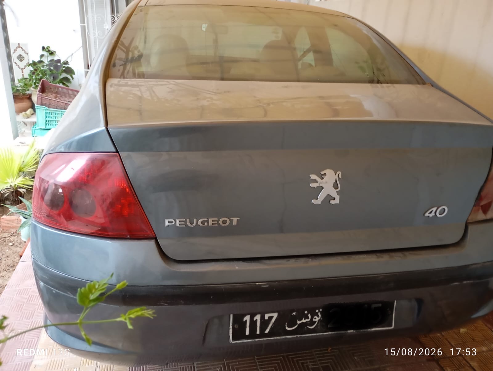 Peugeot 407