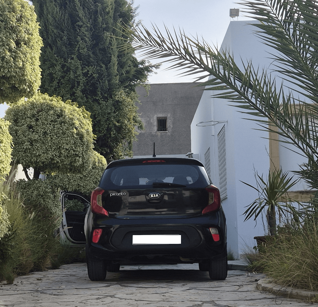 Kia picanto noir