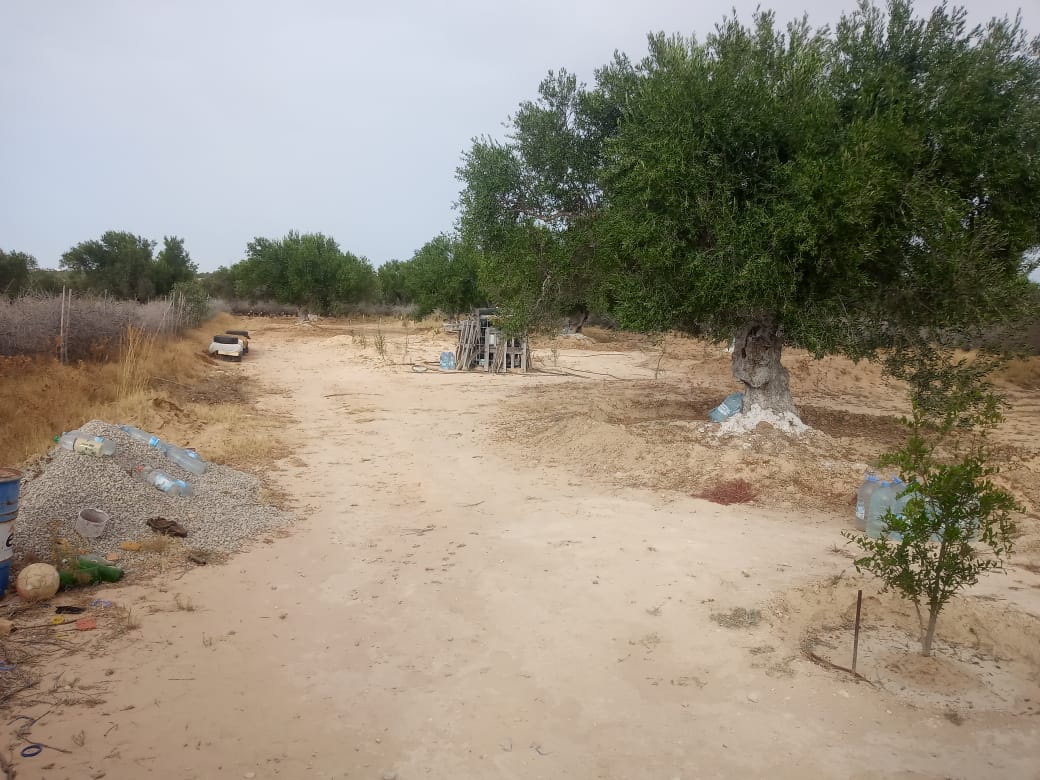 Terrain agricole