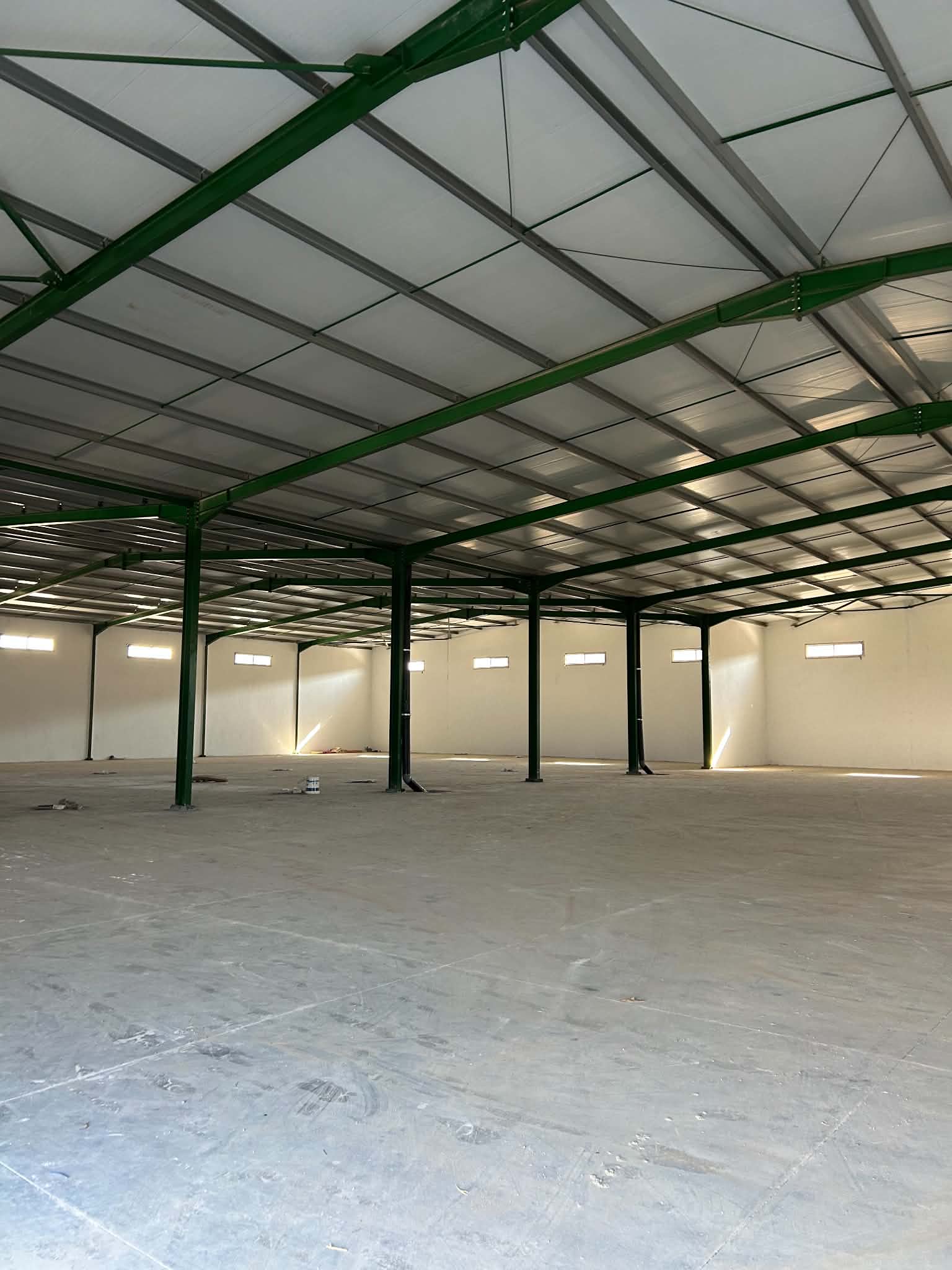 Tun sud 2226 sur 5000 m2l261002