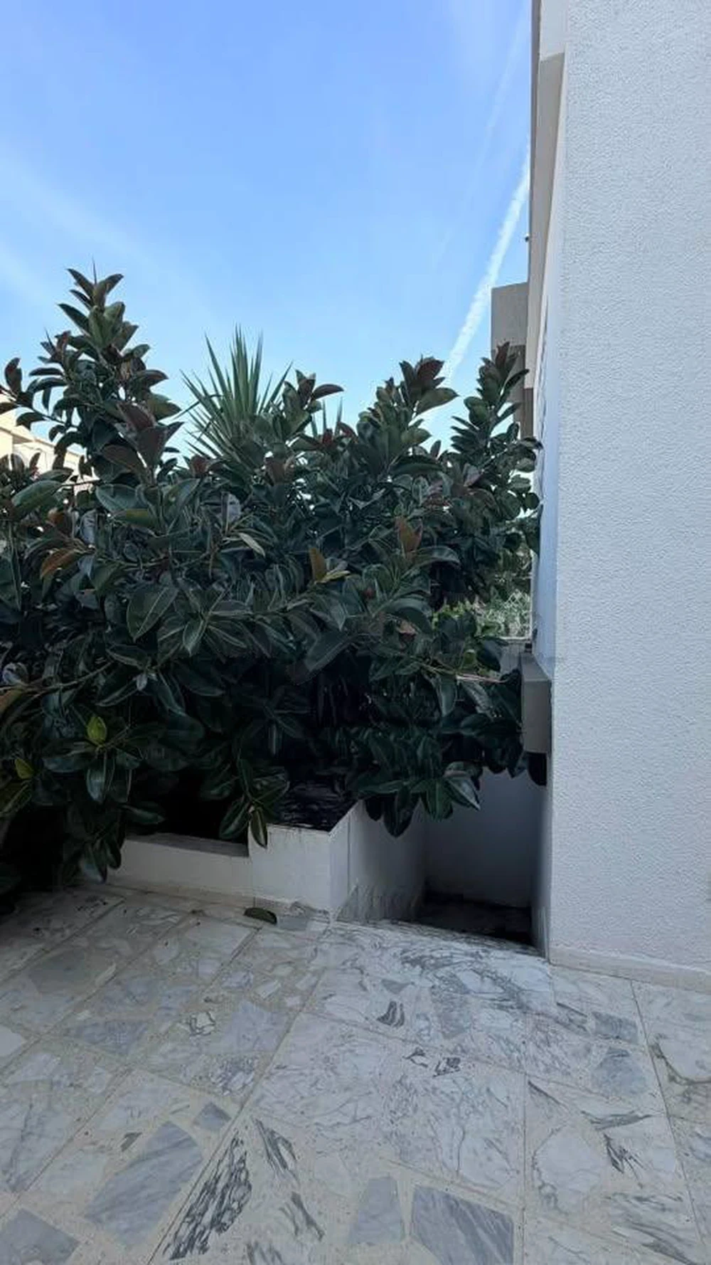 Villa s6 haut standing à menzah 9a
