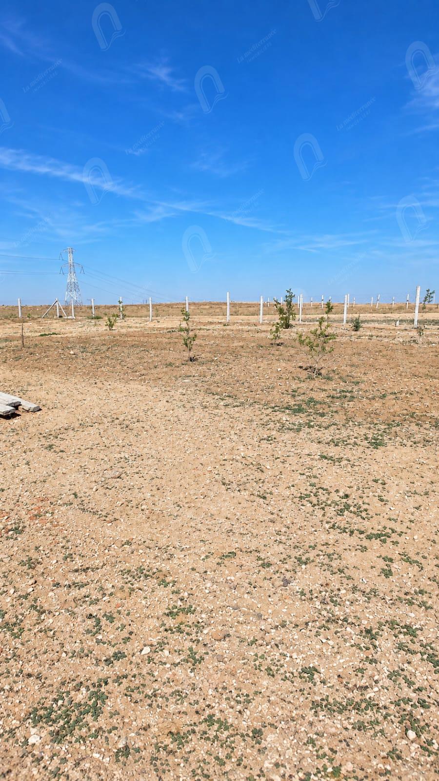 Un terrain de 1440m2 a borj el amri