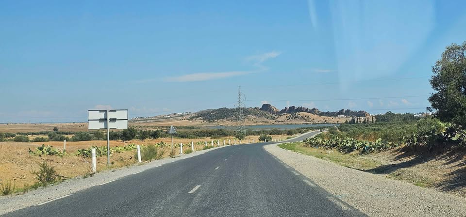 Hectare a sidi jdidi hamammet