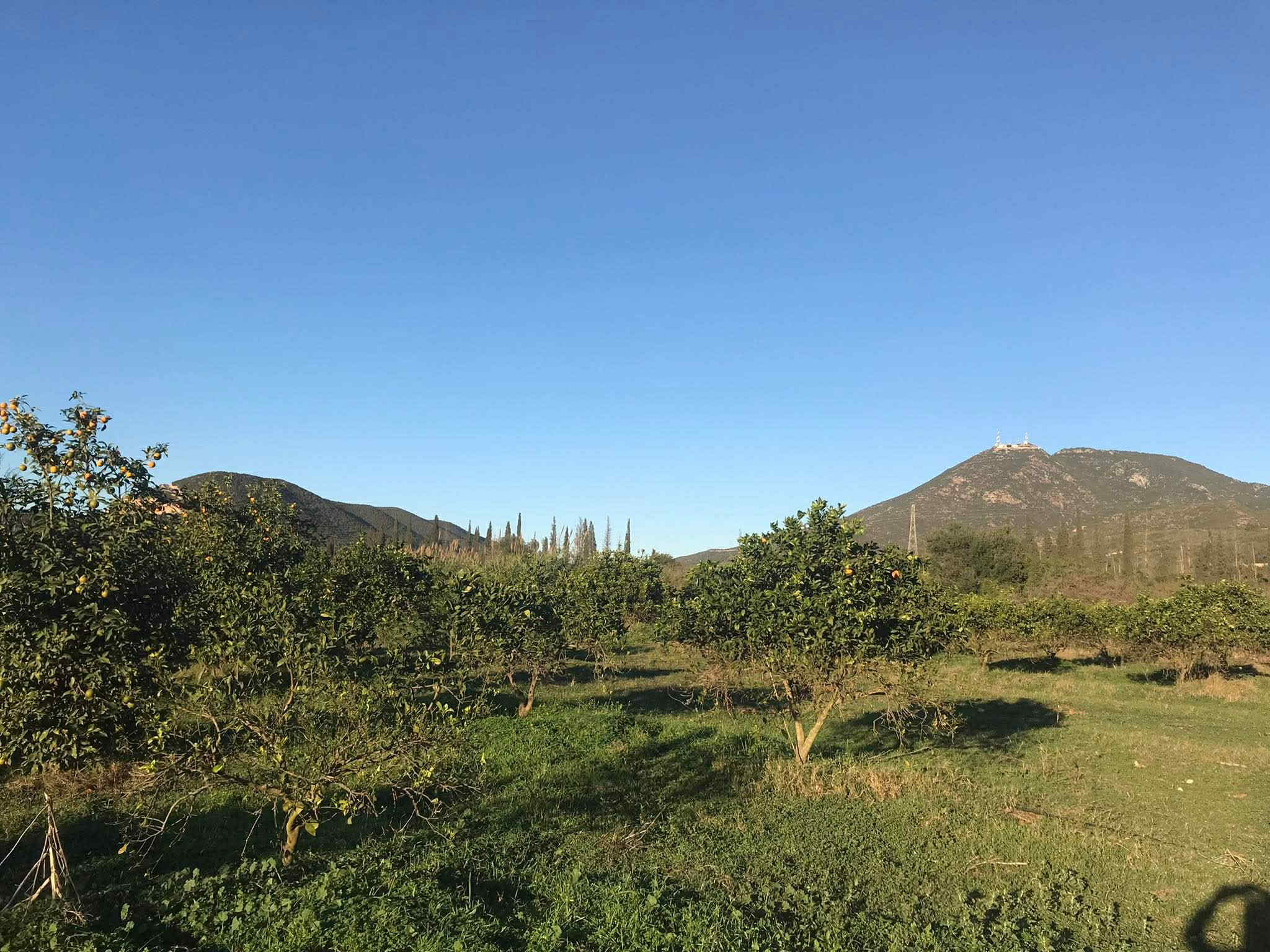 Terrain de rêve