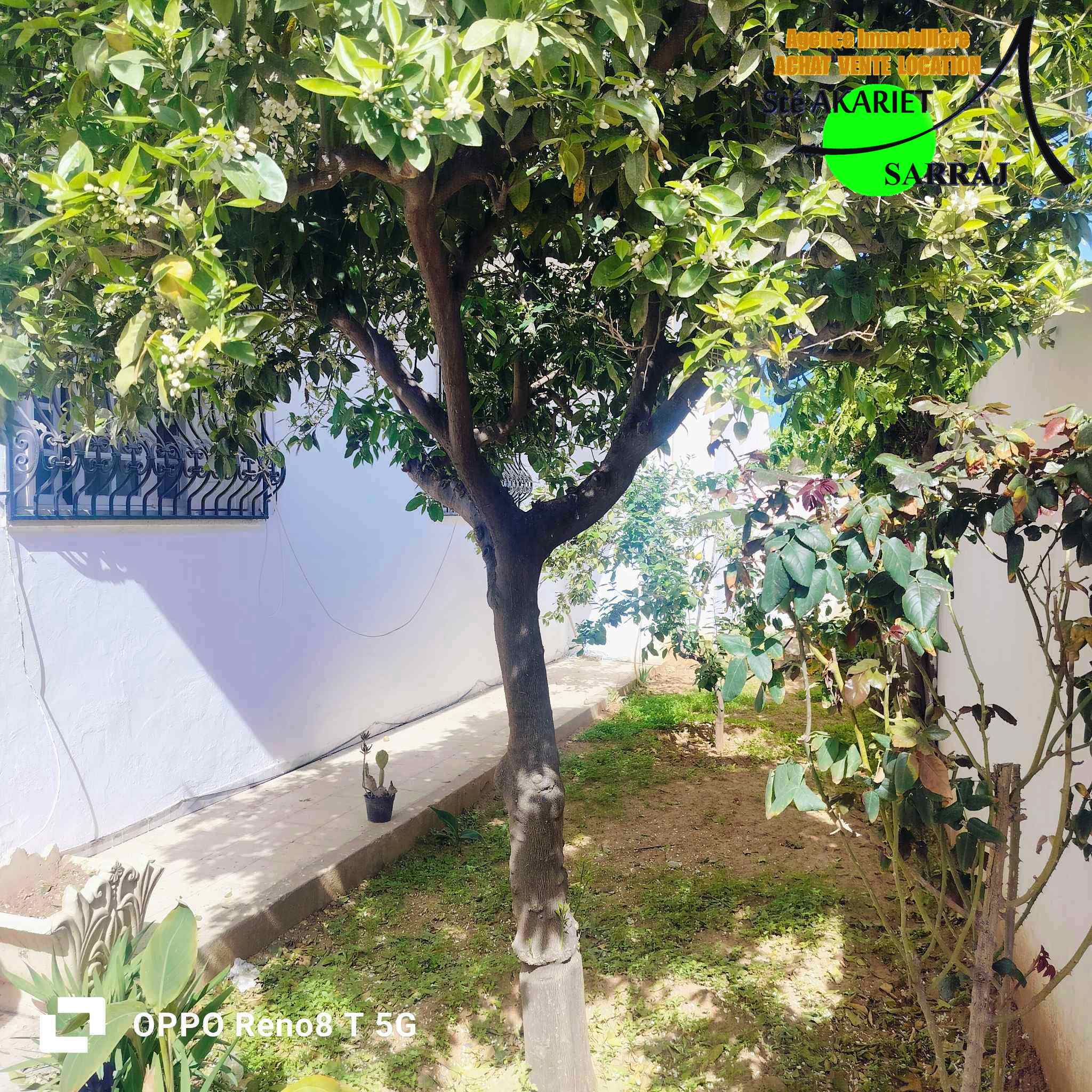 Réz de chaussé de villa pas loin carrefour express