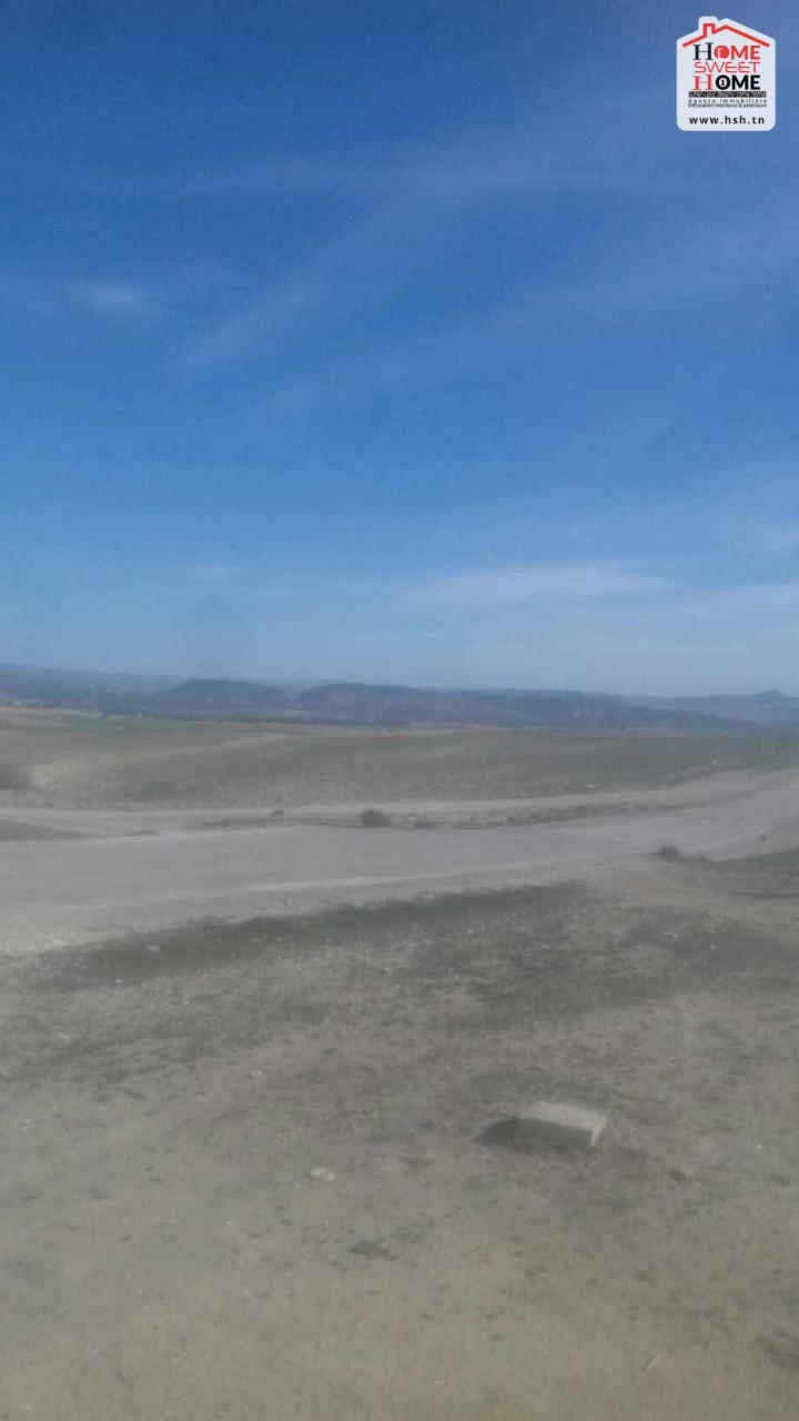 Un terrain agricole à sakit sidi youssef au kef