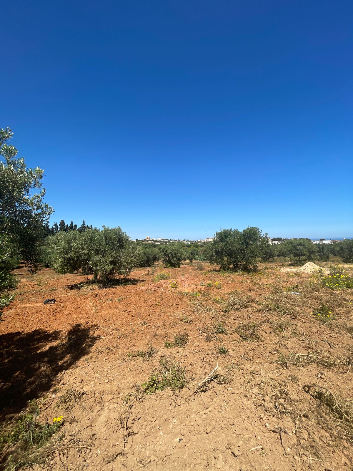 Terrain agricole