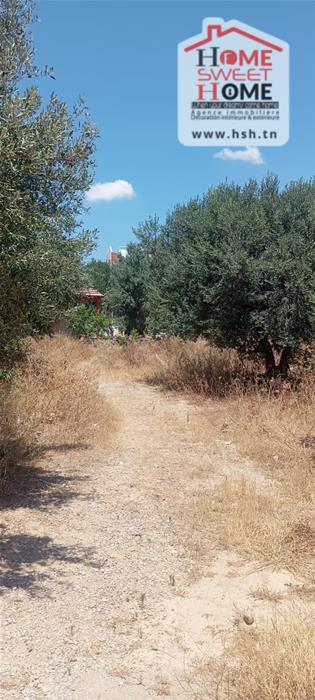 Terrain villa rama à zaghouan