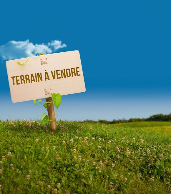 Terrain agricole à esskhira testour béja
