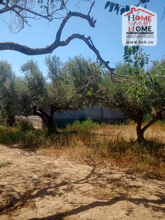 Terrain villa nahawand à hammem ghzez