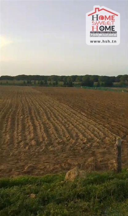 Terrain agricole sama à kélibia