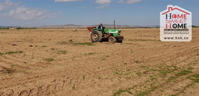 Terrain agricole rana à mjez beb