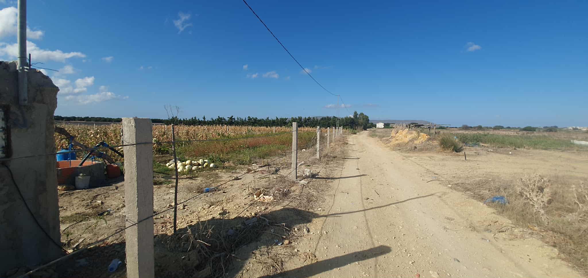 Ferme à chraf el haouaria