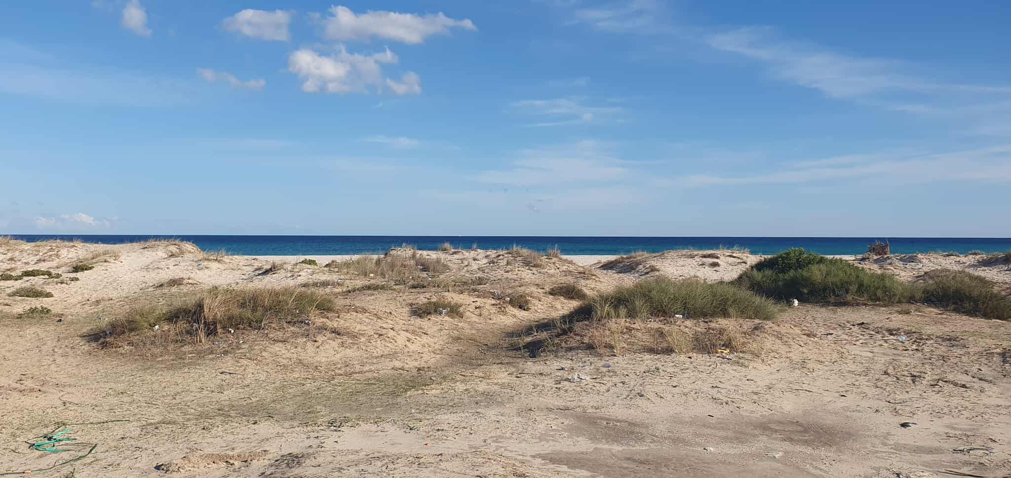 2 hectares situé sur la mer menzel horr