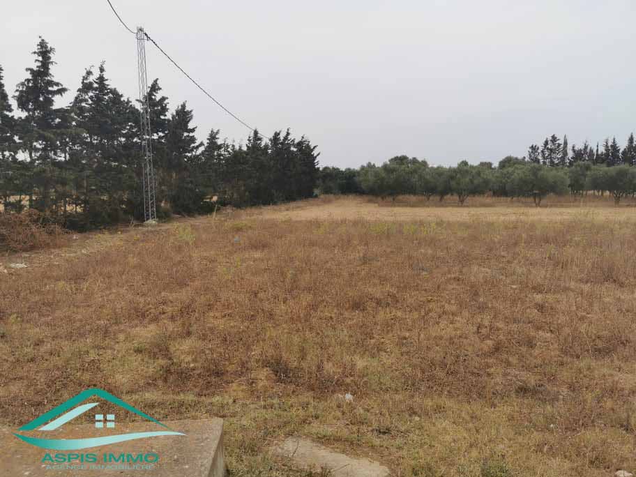 Vt623 terrain 5000 m2 à kelibia