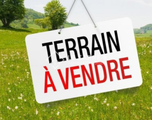 Un terrain la soukra