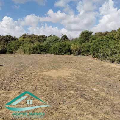 Vt758 terrain agricole 7226 m2 à kelibia