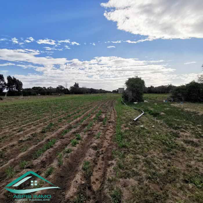 Vt778 terrain agricole 5396 m2 à hamam ghzez