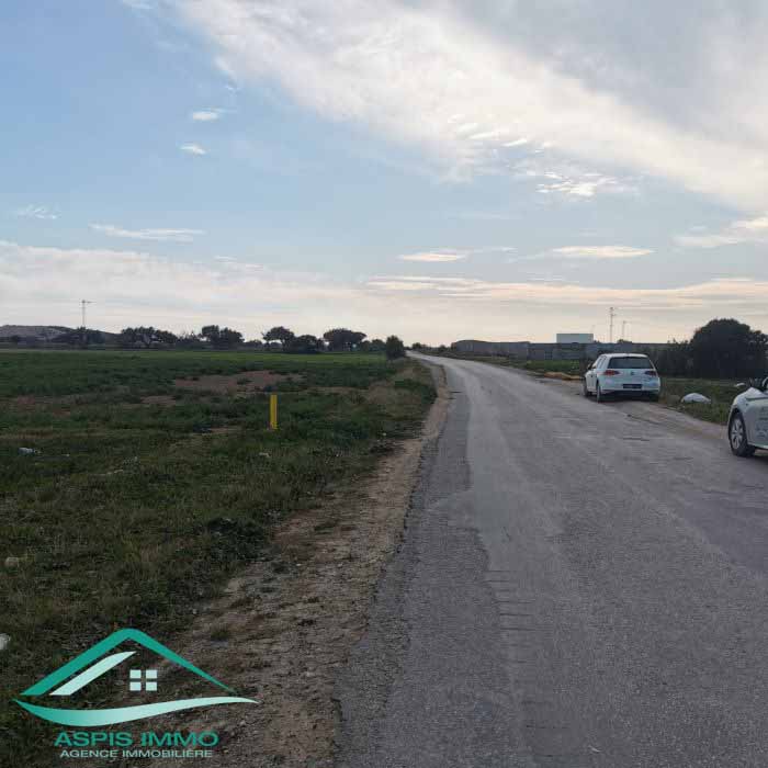 Vt790 terrain agricole 5966 m2 à menzel temim