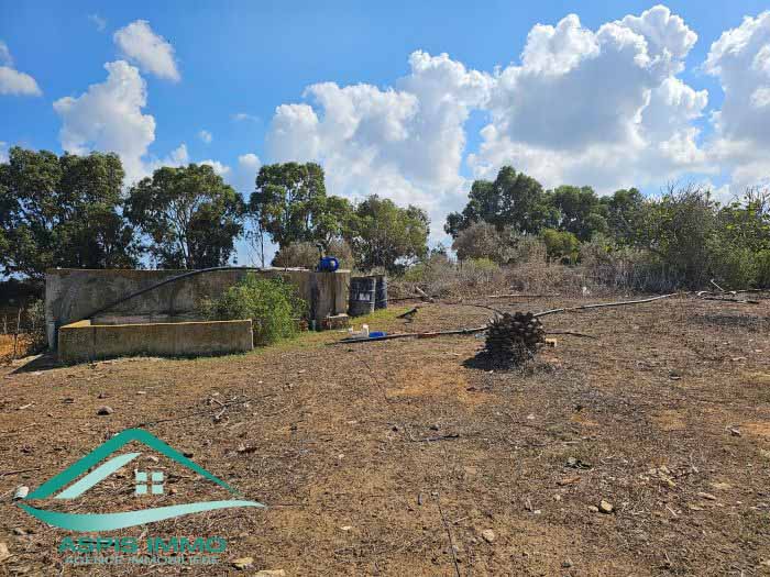 Vt849 terrain agricole 13500 m2 à kerkouene