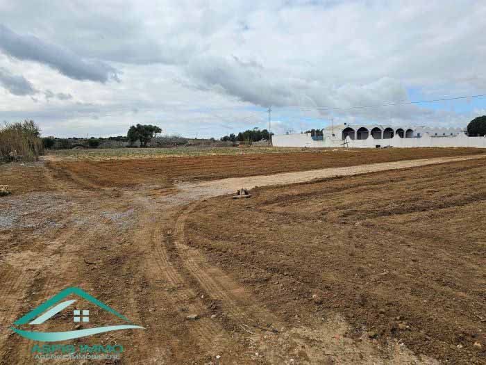 Vt875 terrain 331 m2 à sidi mansour kelibia