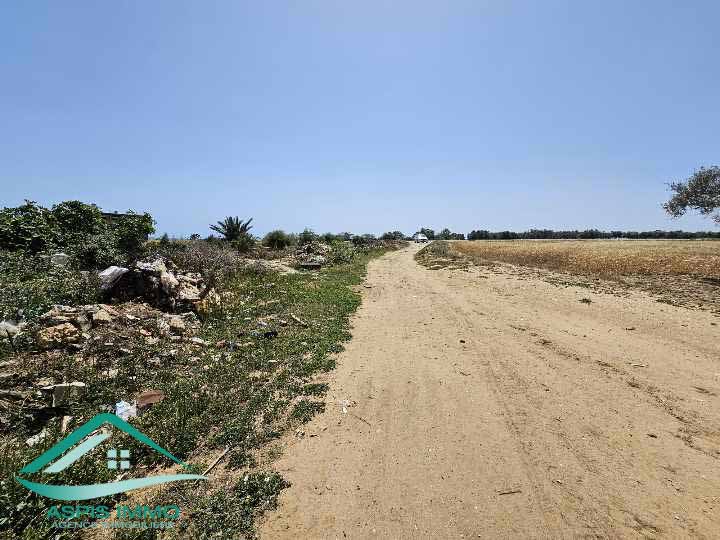 Vt904 terrain agricole 8755 m2 à kelibia
