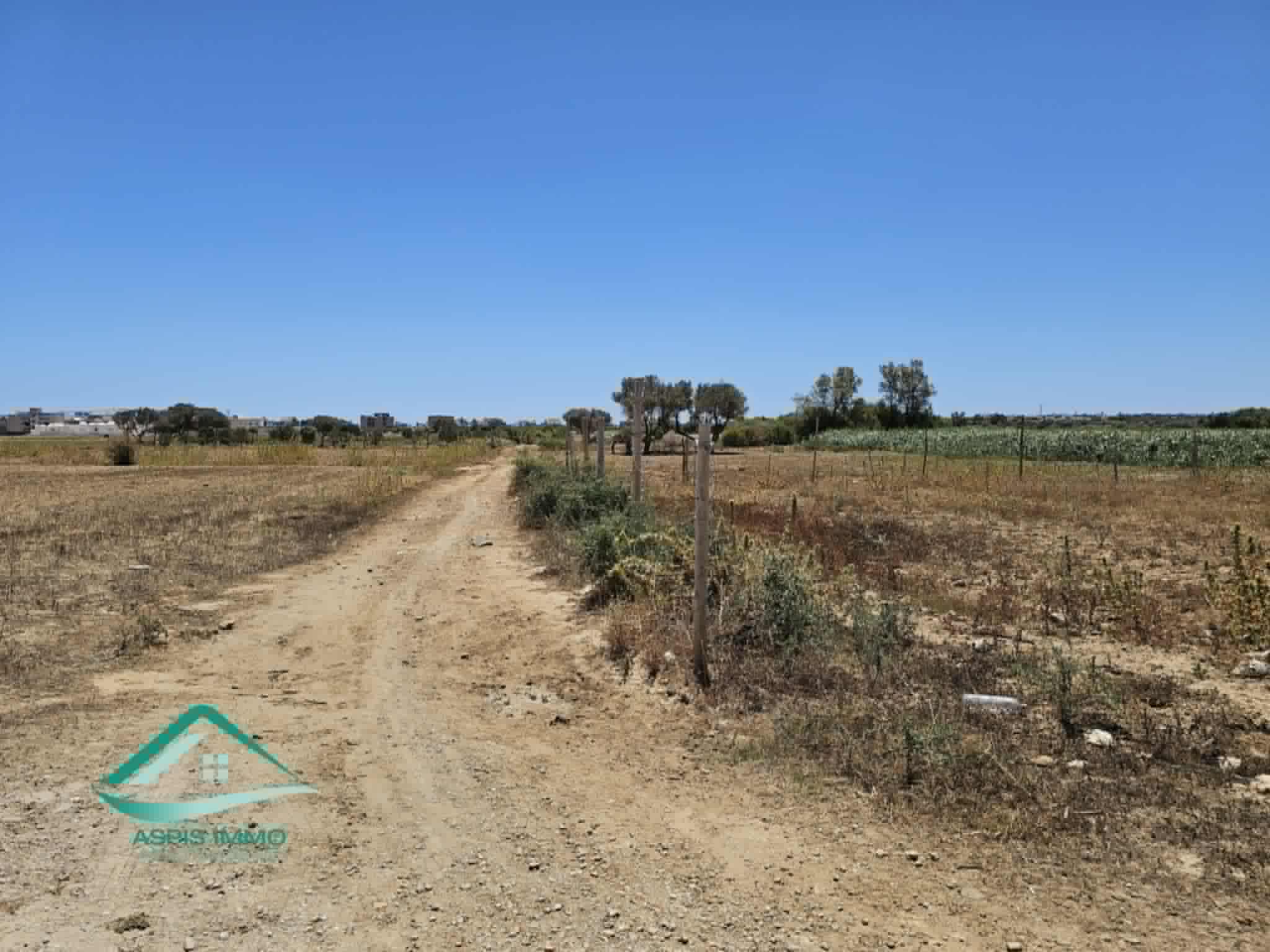 Vt915 terrain 600 m2 à ezzahra kelibia