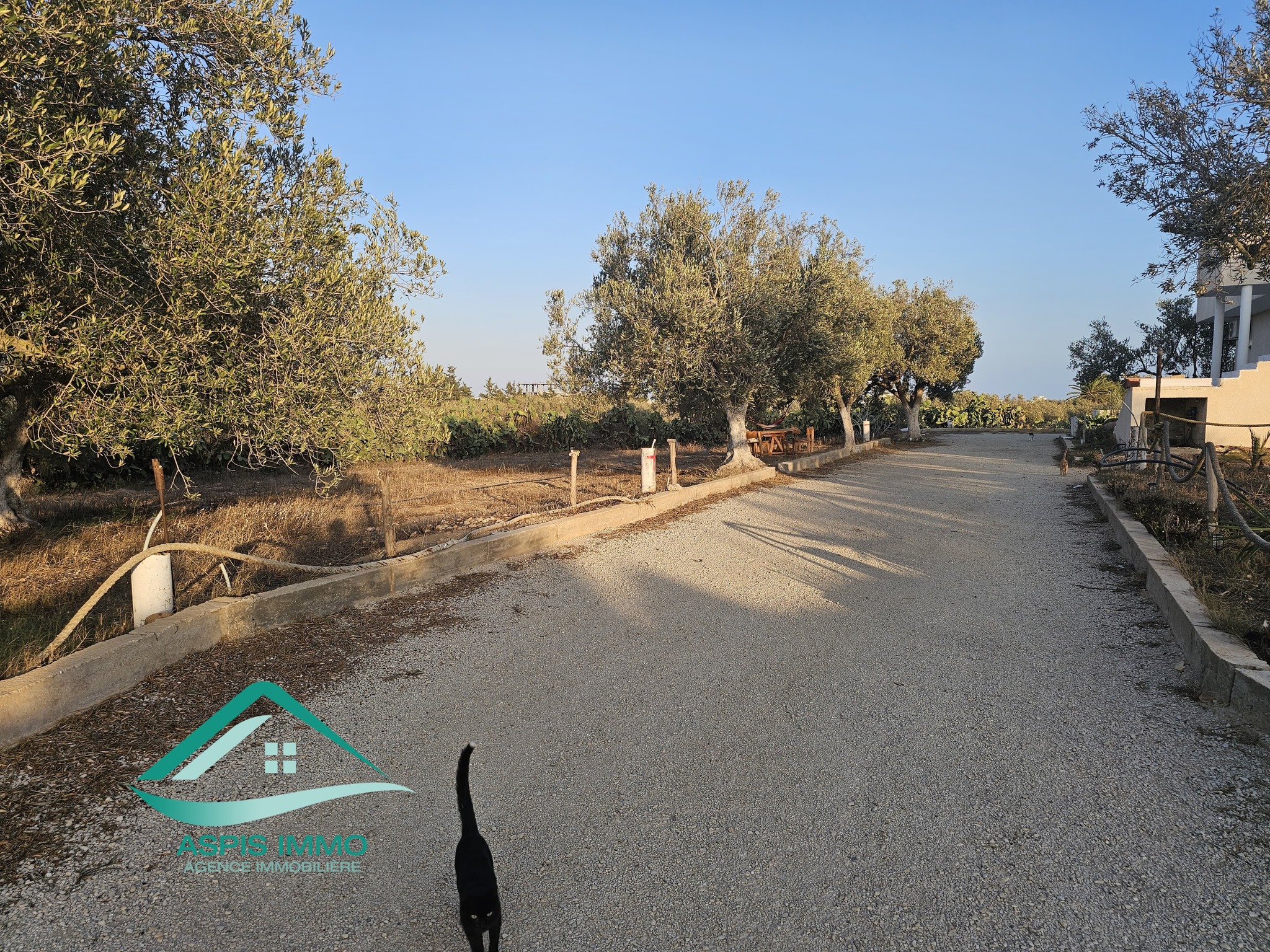 Vt929 terrain 430 m2 à kelibia