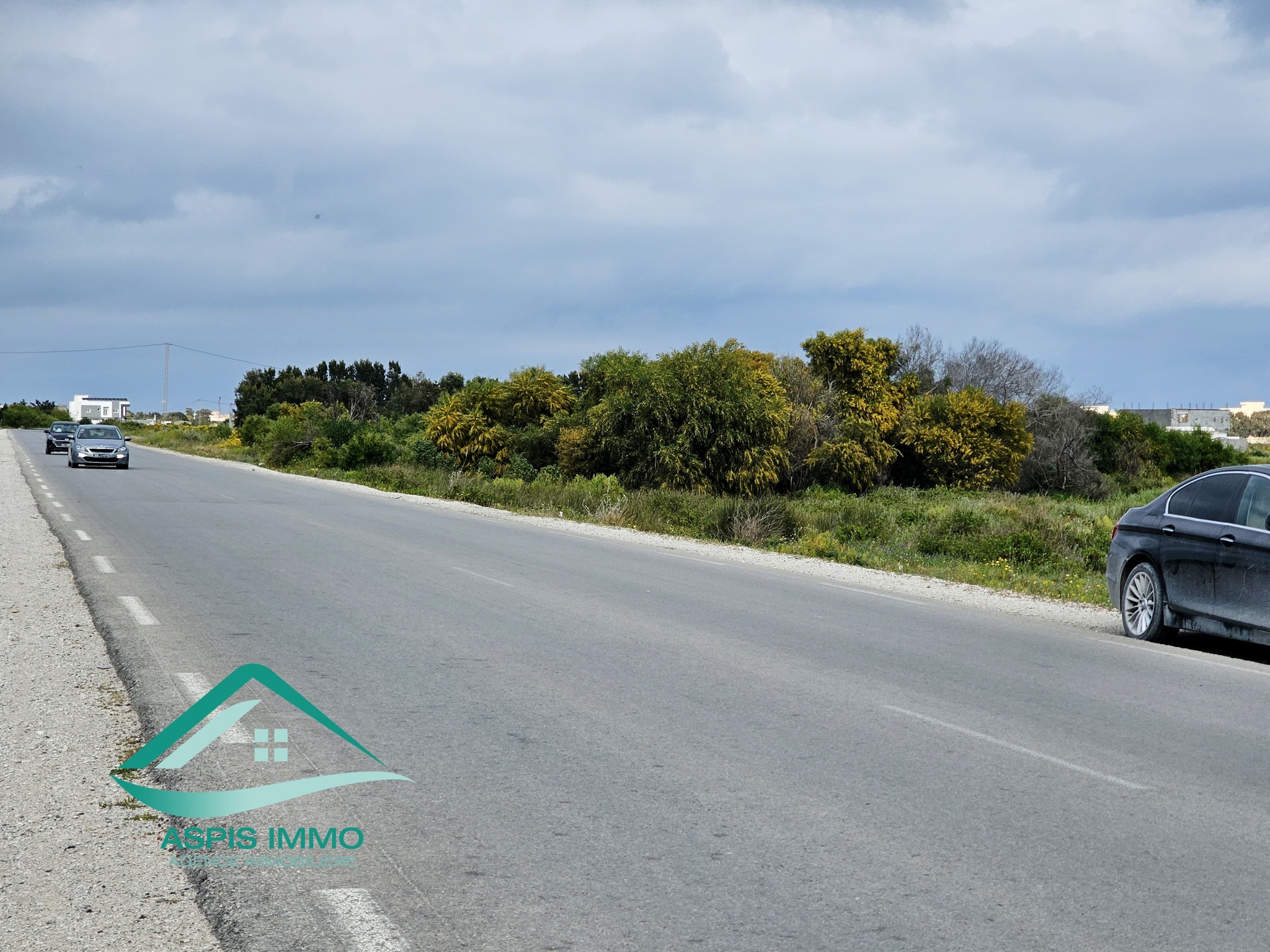 Vt983 terrain 1000 m2 à kelibia