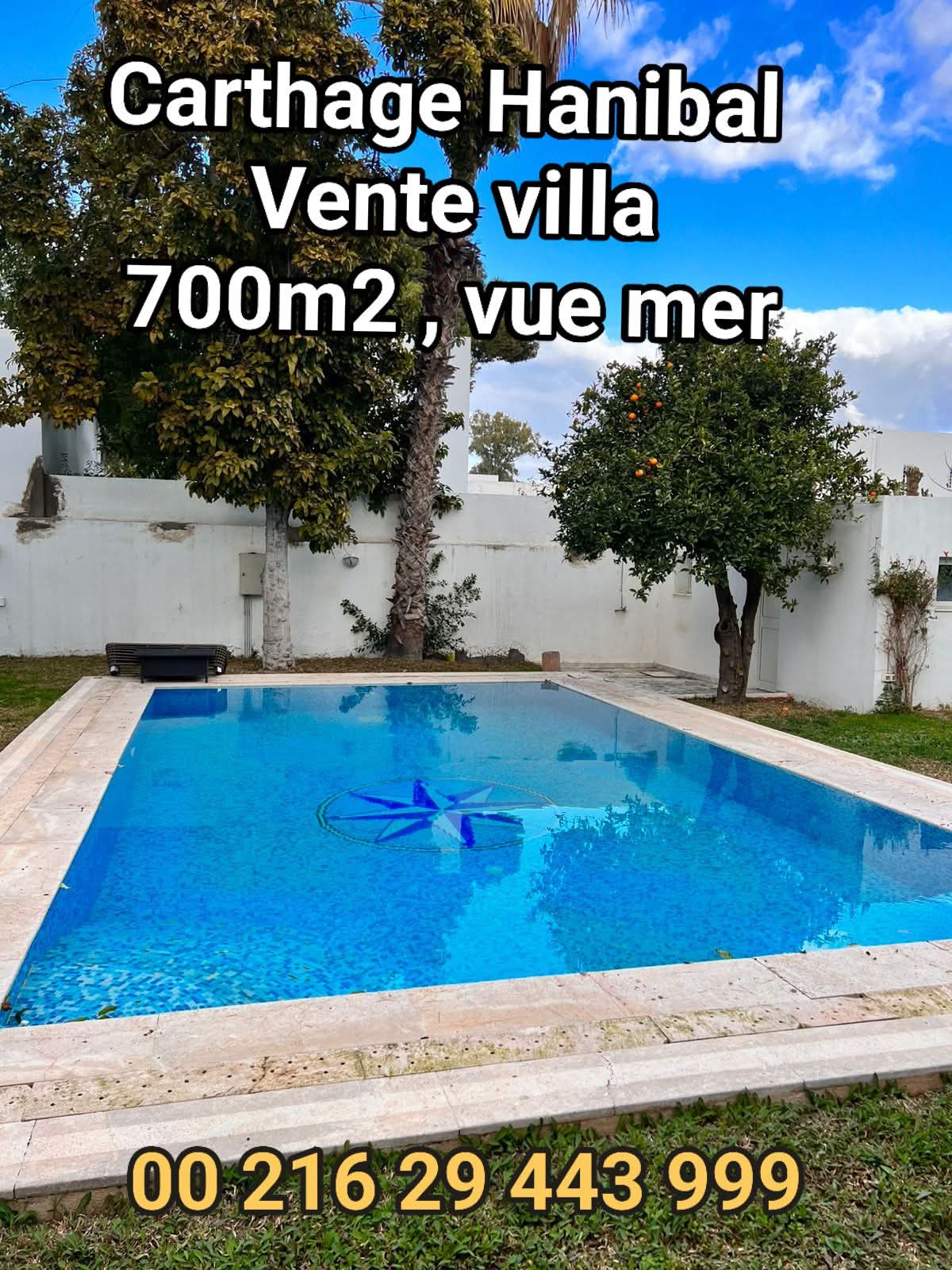 Villa à carthage hanibal