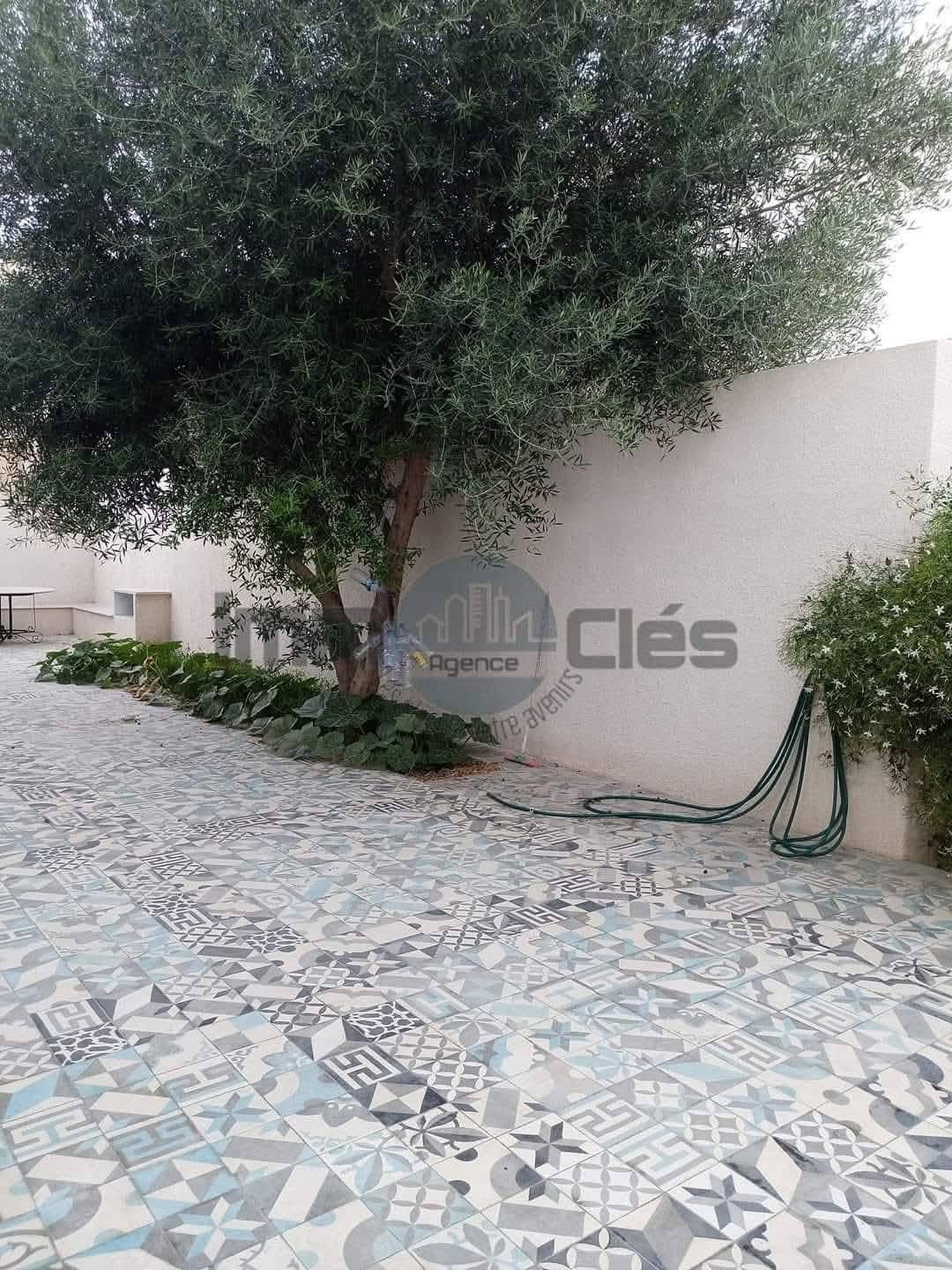 Magnifique duplex corniche bizerte