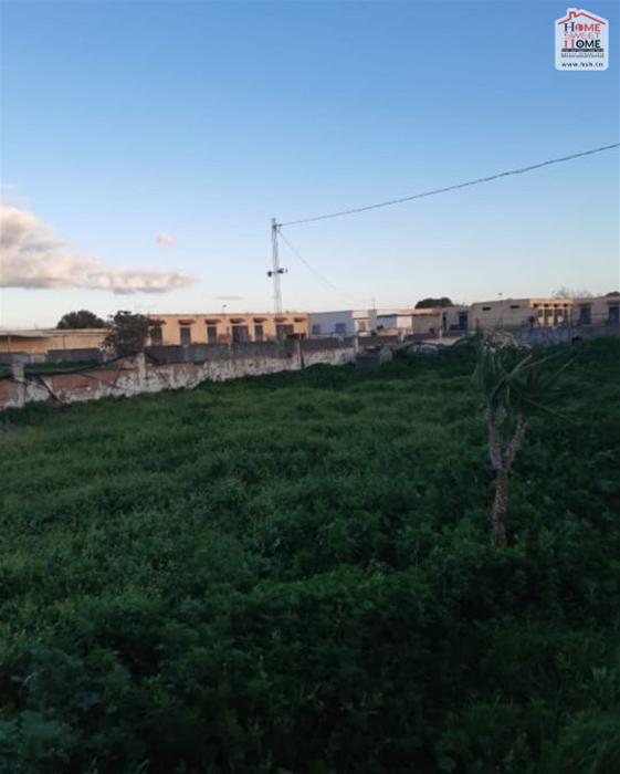 Terrain agricole baya à solimen