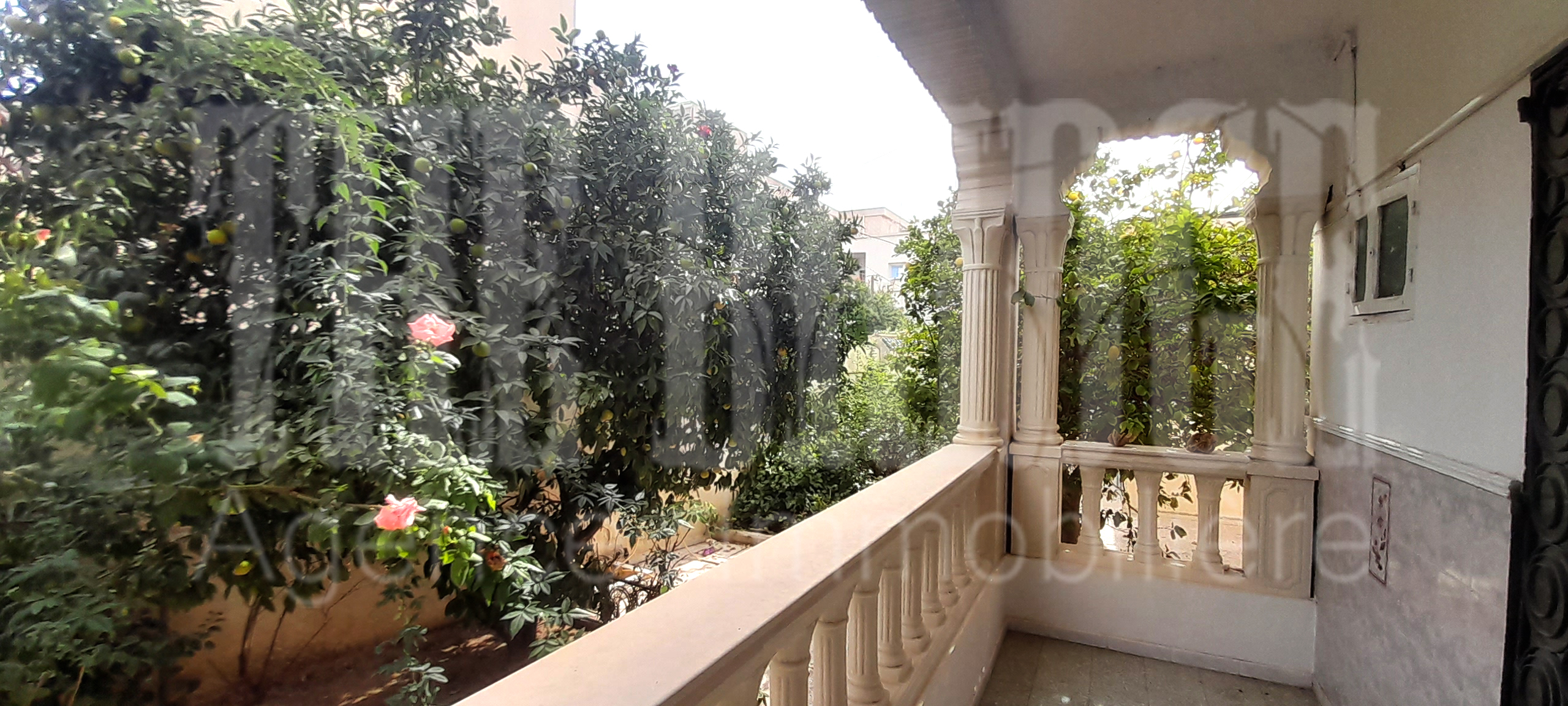 Villa de 250 mc à grombalia