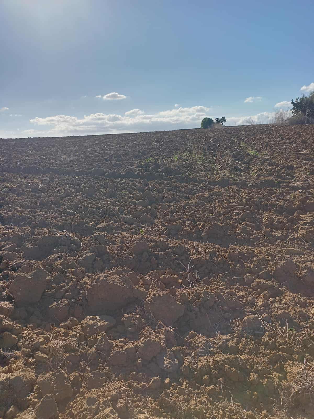 3hectars et 3000m2 avec un puit