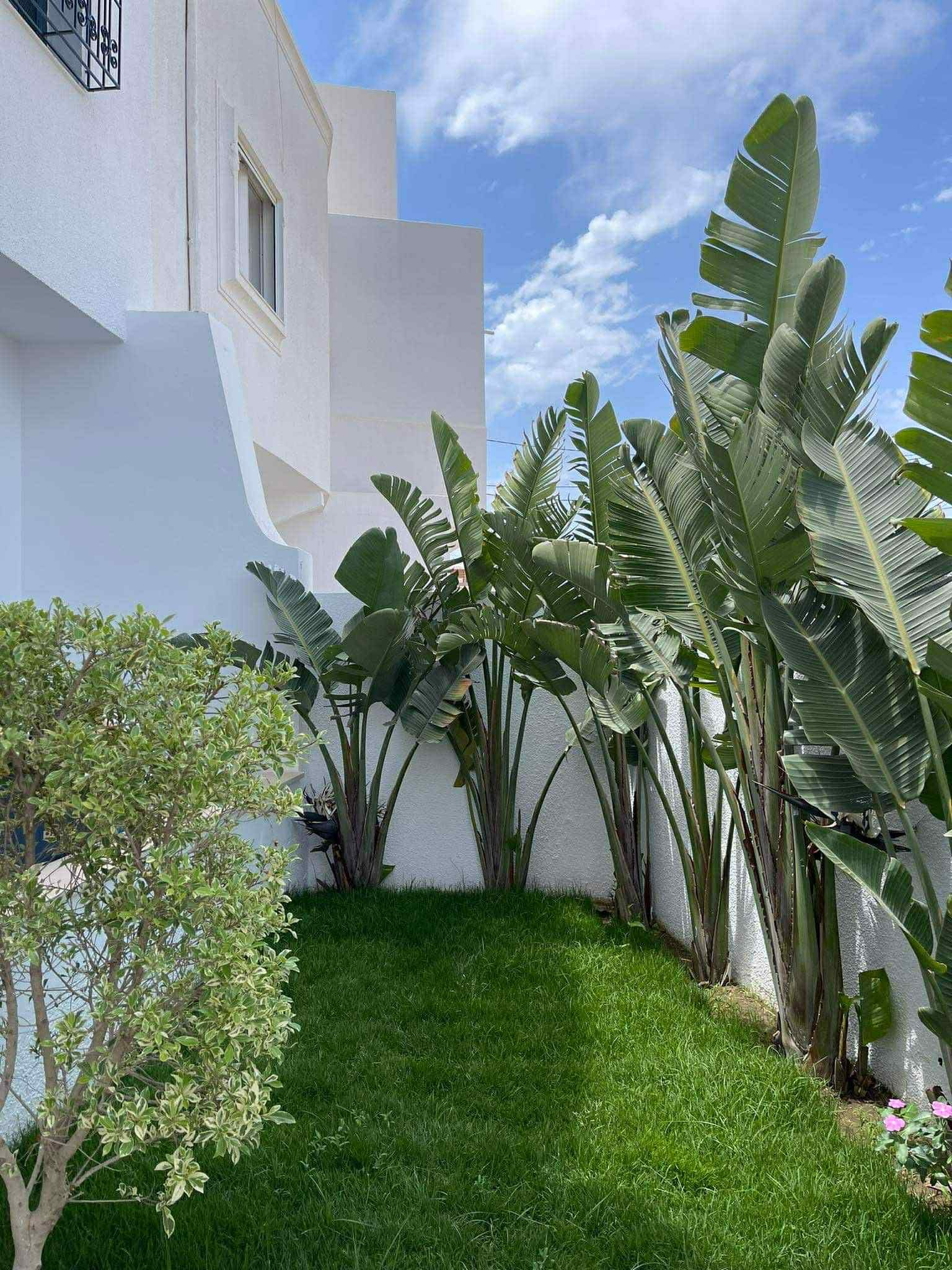 Villa à plage fatha kelibia