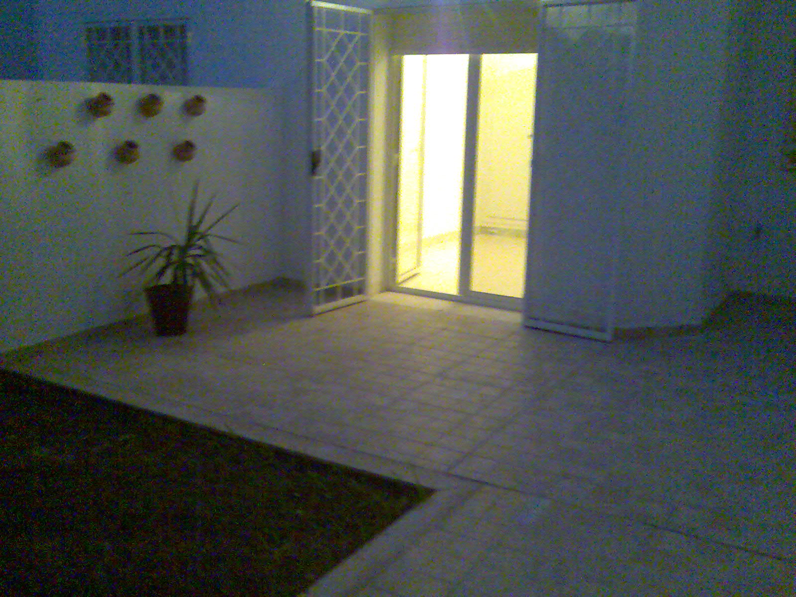 Appart avec jardin à ain zaghouane