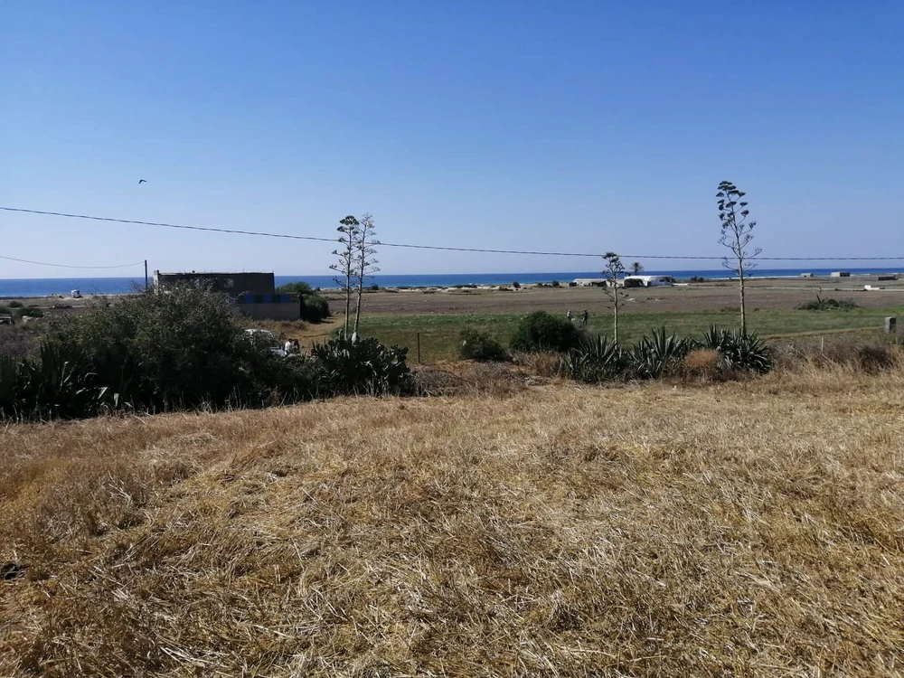 Terrain ferme