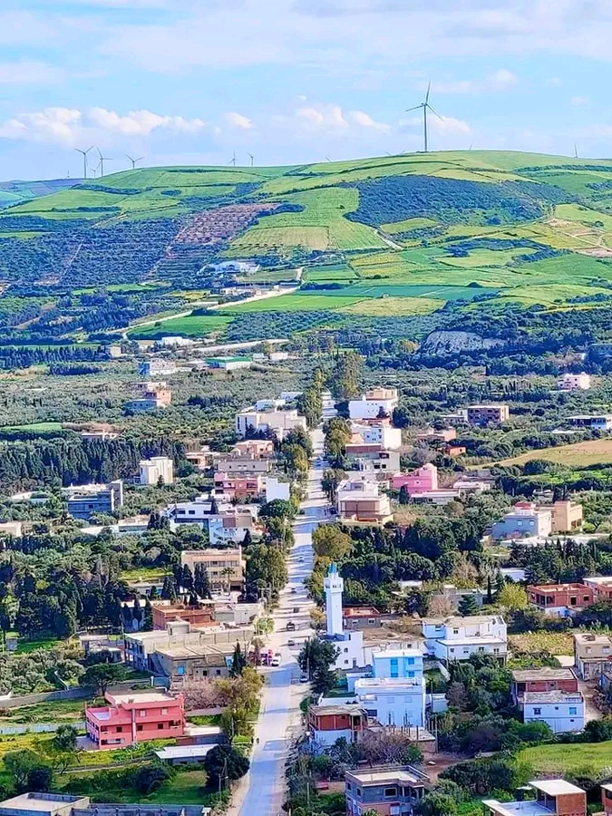 Terrains à metline bizerte