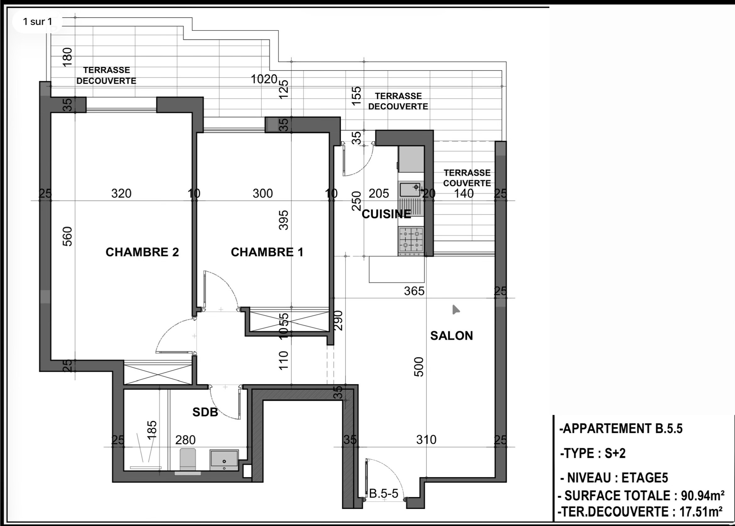 S2 sur plan avec terrase