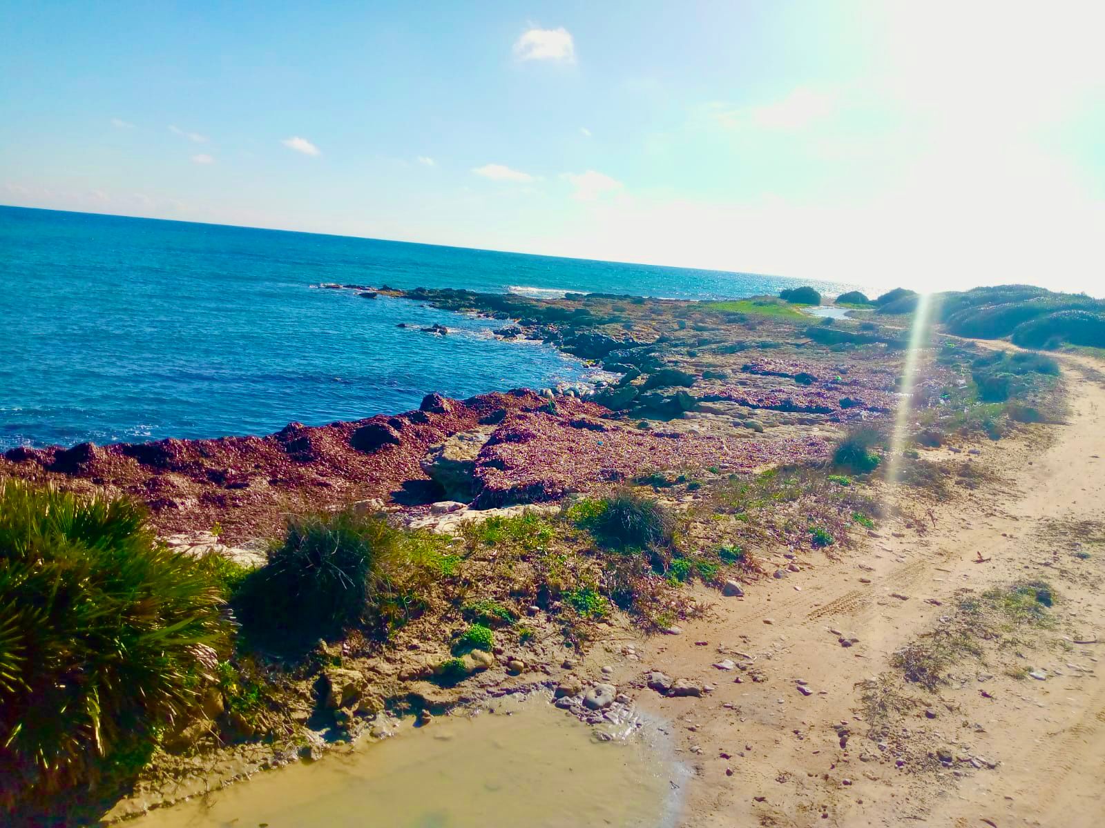 Terrain de rêve à kerkouane