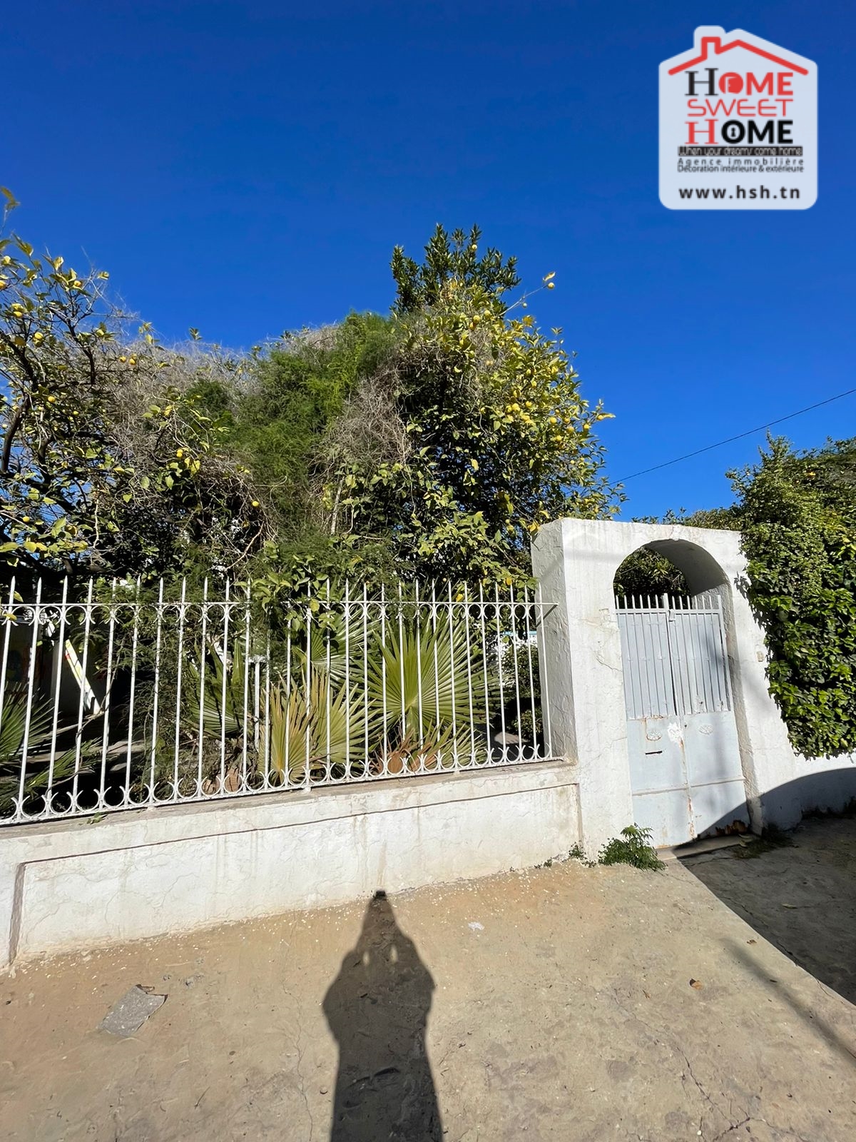 Villa zouzette à france ville tunis