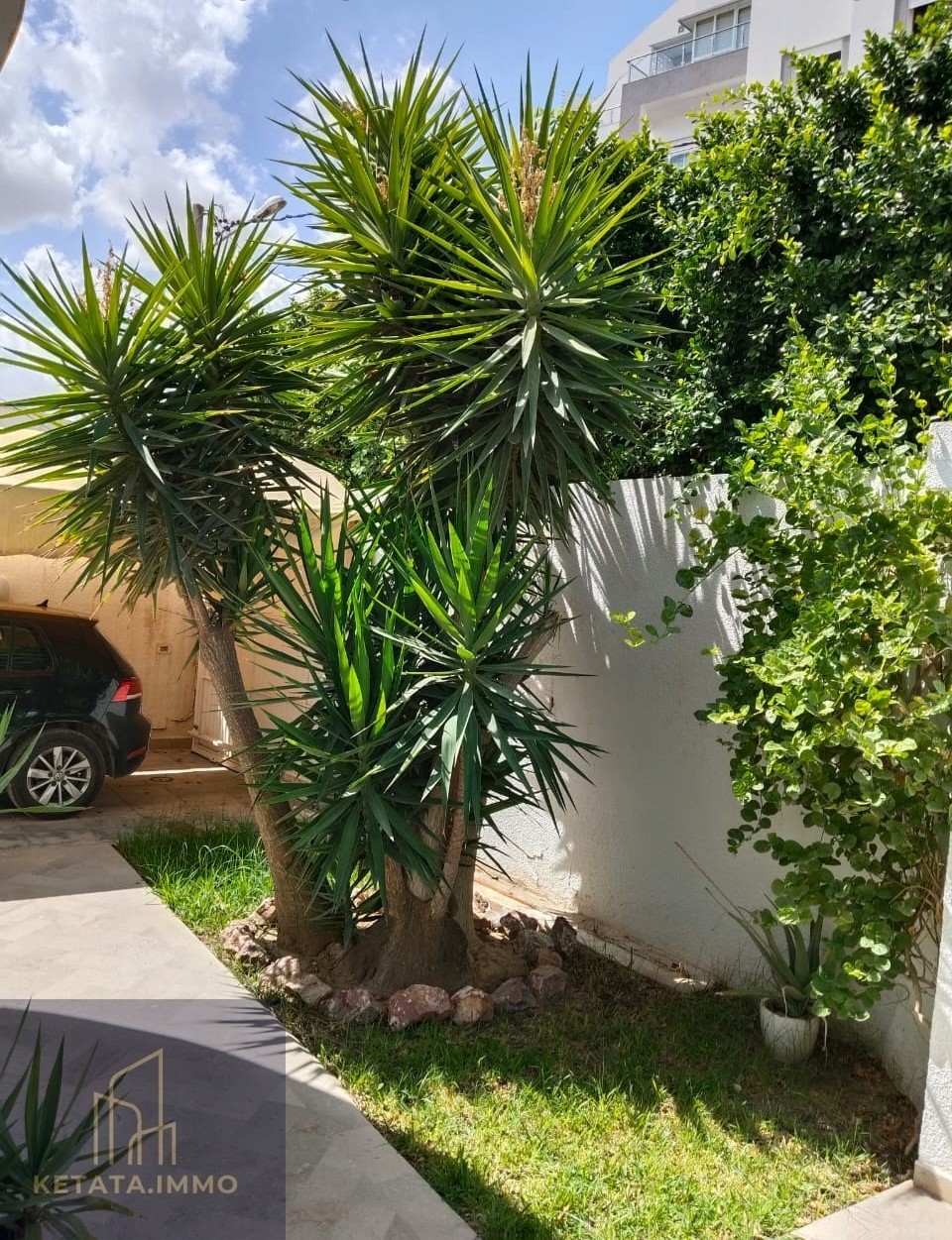 La ghazelle vnt villa fares