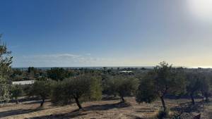 A terrain 1470m vue sur mer ref1390a
