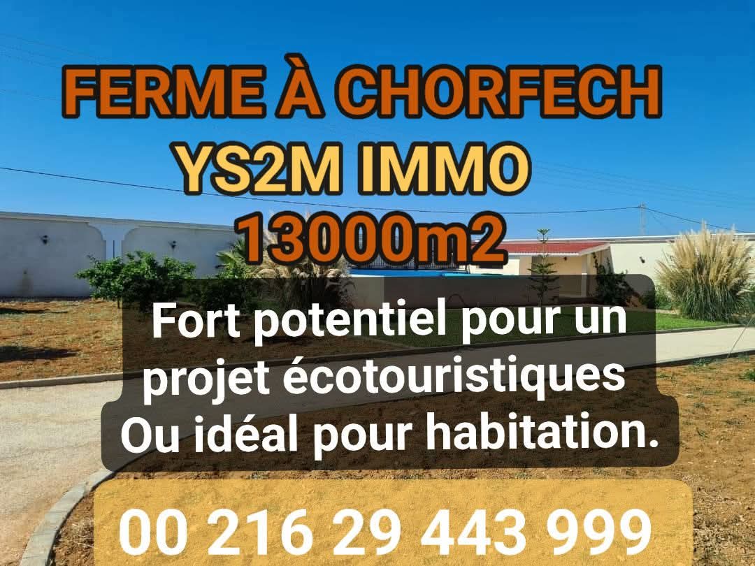 Belle ferme à chorfech pour projet écotouristiques